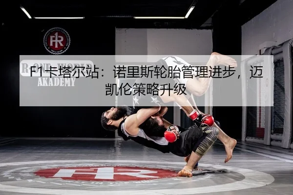 ka-ta-er-zhan-nuo-li-si-lun-tai-guan-li-jin-bu-mai-kai-lun-ce-lve-sheng-ji-2-659.jpg
